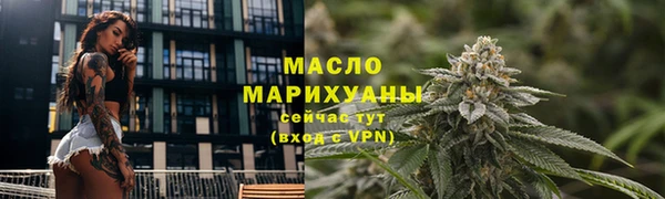 мдпв Заводоуковск