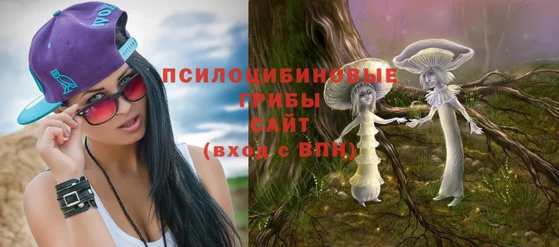 blacksprut как войти  Кулебаки  Галлюциногенные грибы Magic Shrooms 