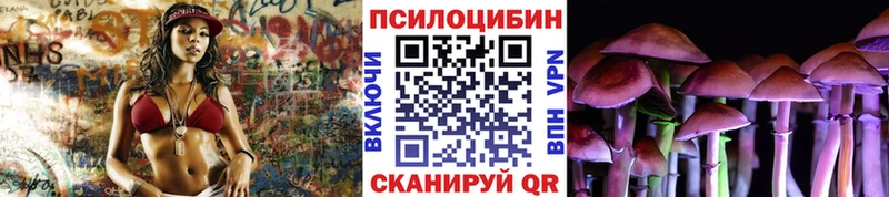 hydra tor  даркнет сайт  Кулебаки  площадка формула  Галлюциногенные грибы Psilocybine cubensis 