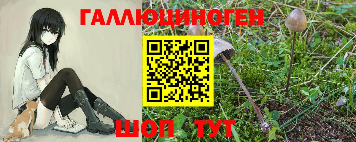 МАРИХУАНА  Codein  МЕТ  МЕФ   Кетамин  MDMA  Кокаин  Alpha-PVP СОЛЬ   Кулебаки  Гашиш  МЕФ кристаллы 