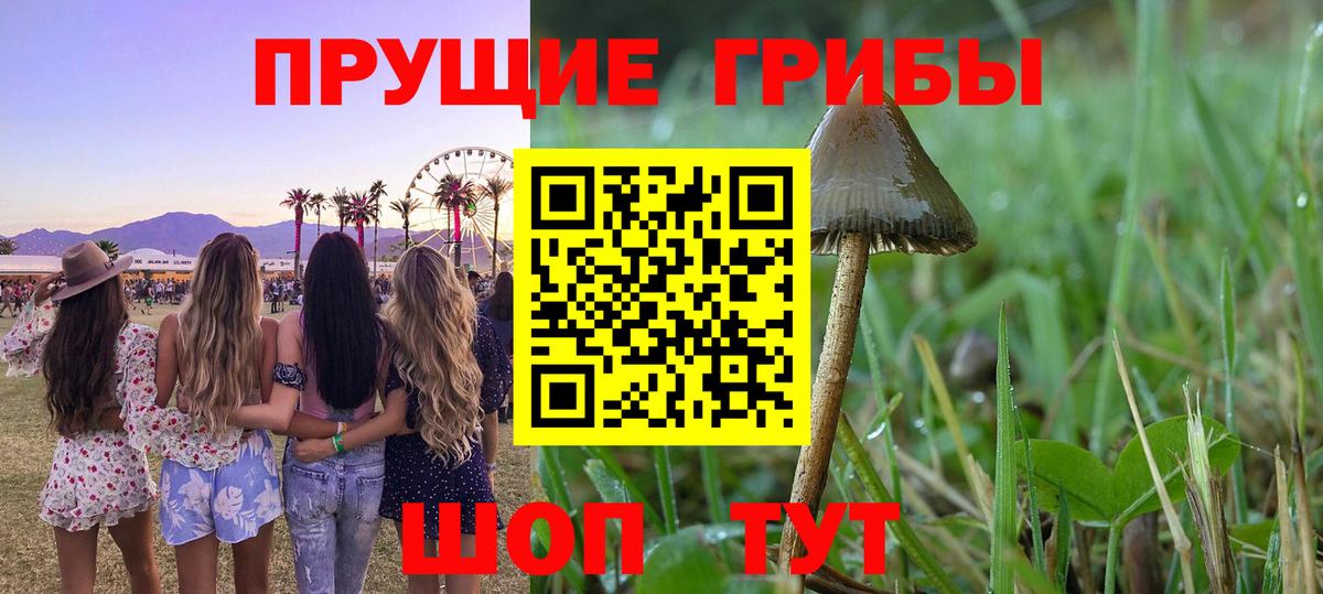 Галлюциногенные грибы мицелий Кулебаки